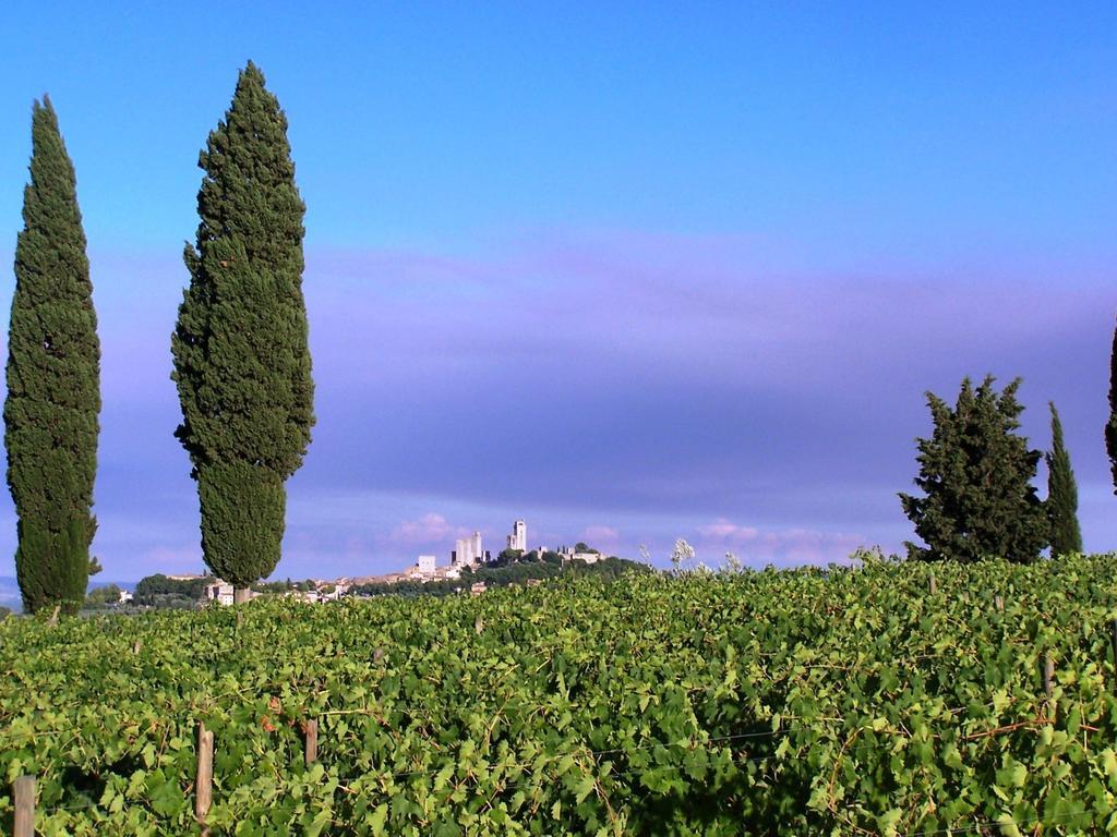 Ferienwohnung Poggetto Di Montese San Gimignano Zimmer foto